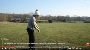 Pourquoi faire des Waggles